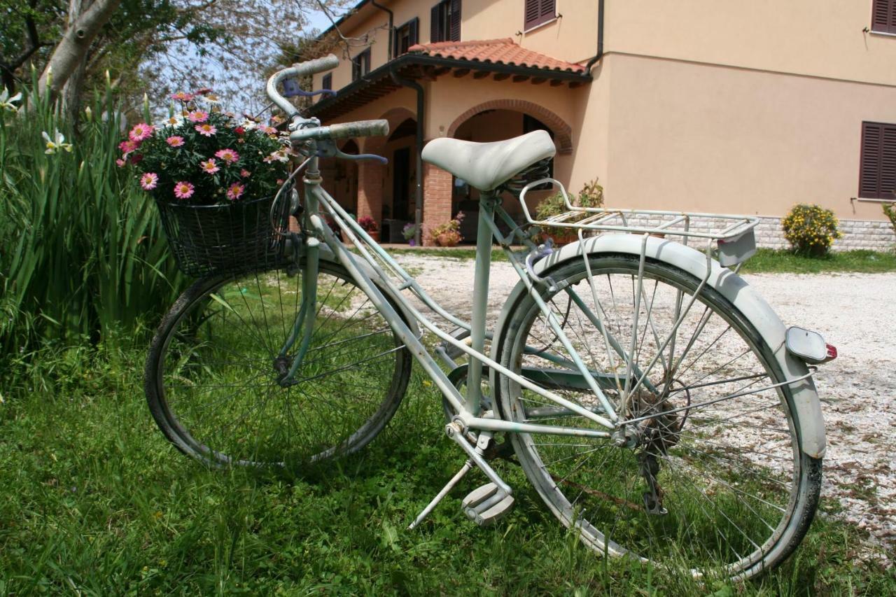 Agriturismo Diciocco Venturina Terme Exteriör bild