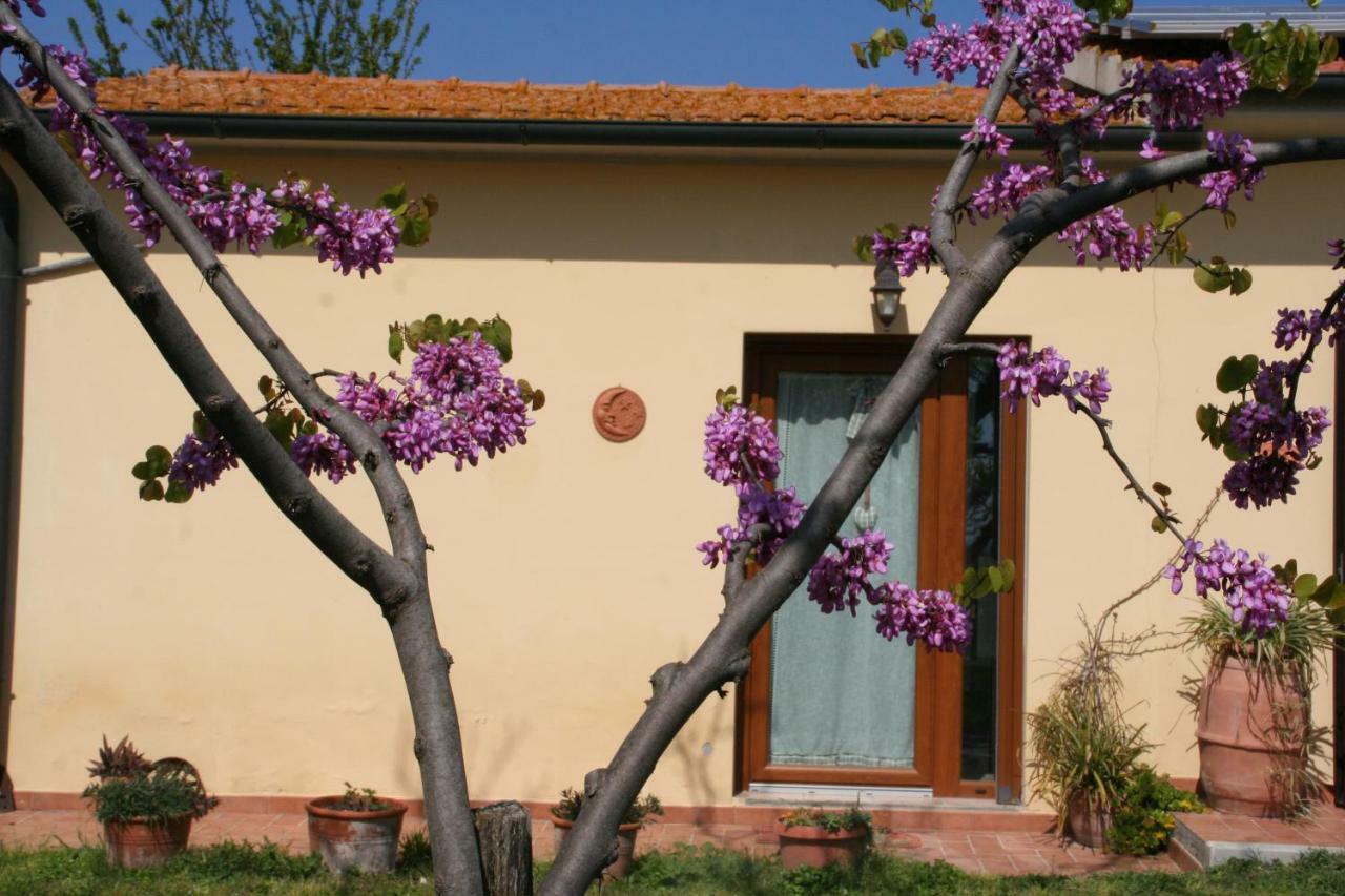 Agriturismo Diciocco Venturina Terme Exteriör bild