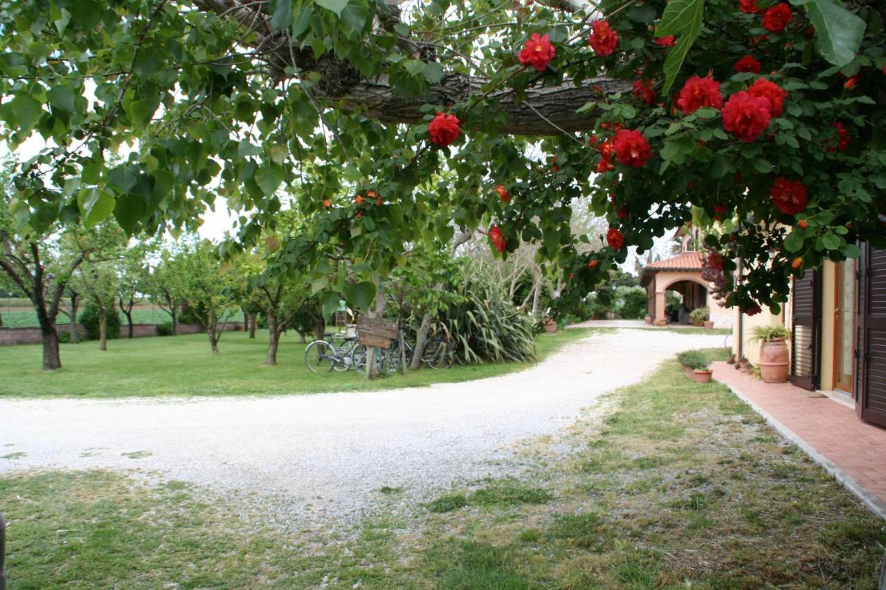 Agriturismo Diciocco Venturina Terme Exteriör bild